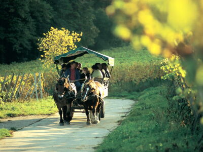 Die Weinstadt Deidesheim Be-Greifen