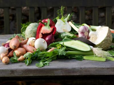Die Weinstadt Deidesheim Be-Greifen