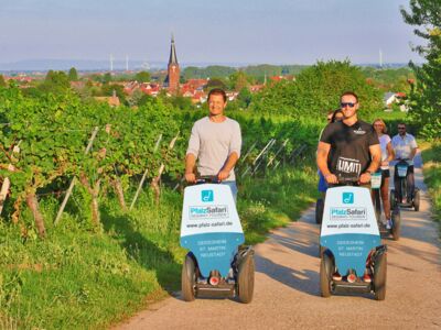 Die Weinstadt Deidesheim Be-Greifen